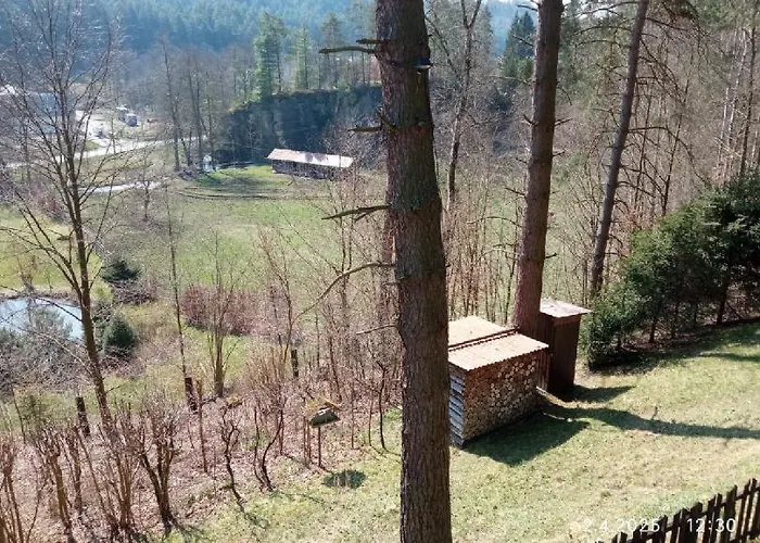 Vsemily 12 Reinke * Jetřichovice